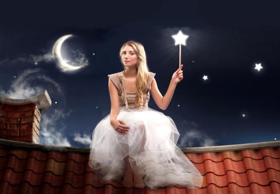 Chimney Fair Chimney Maintenance Clean and Repair