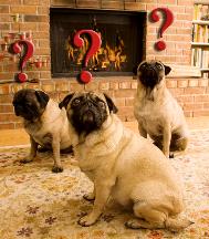 Chimney Cleaning and Sweep Questions Jacksonville, FL, NE Florida, SE Georgia